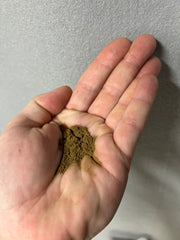 Organic aloe vera extract powder in hand