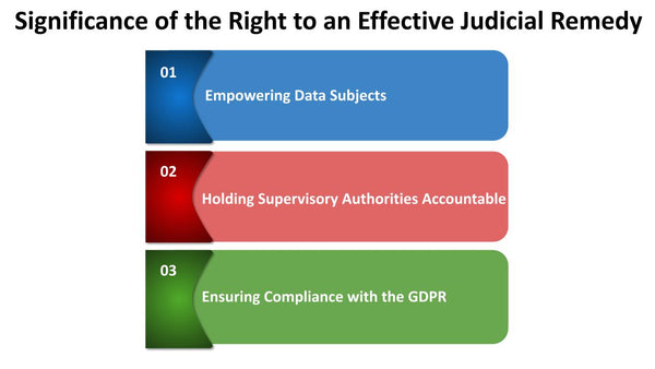 Significance of the Right to an Effective Judicial Remedy
