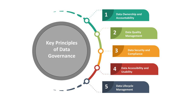 Data Governance in Information Technology