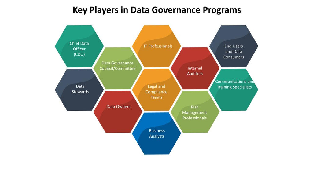 Key Players in Data Governance Programs