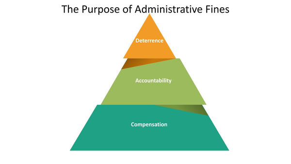 The Purpose of Administrative Fines