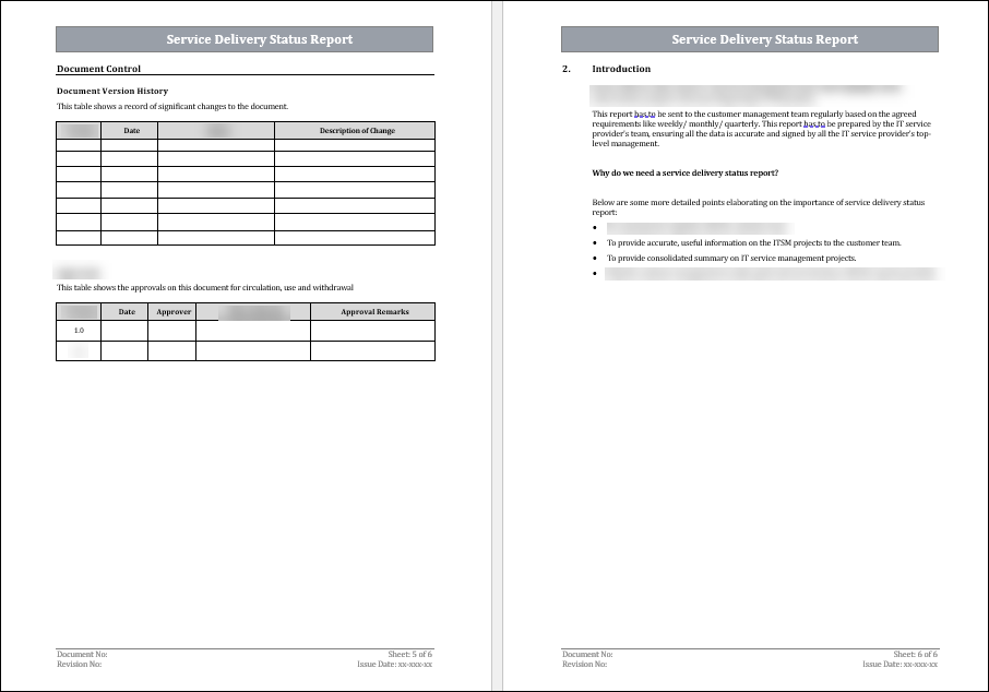 Service Delivery Status Report Template
