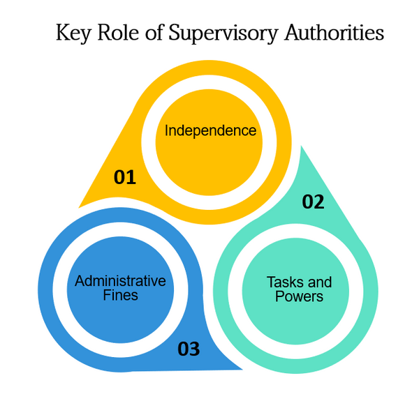 The Paramount Role of Supervisory Authorities