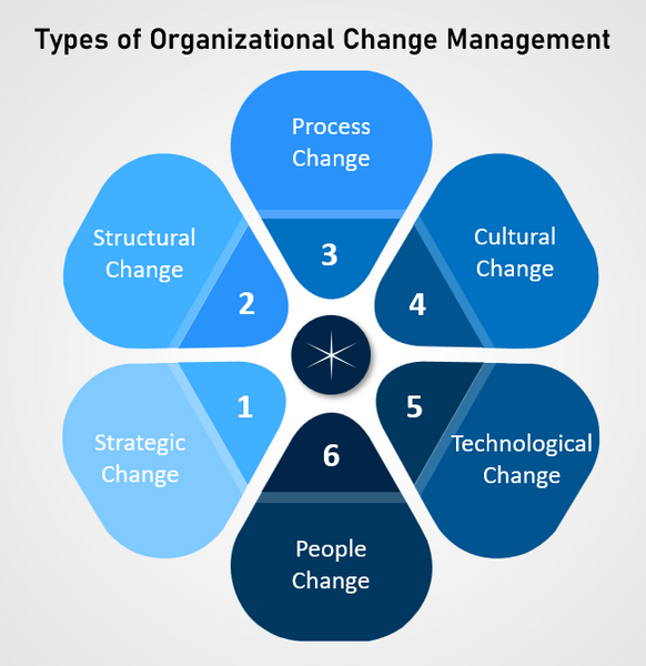 Types of Organizational Change Management