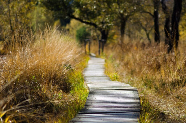 Naturparks in Emsland