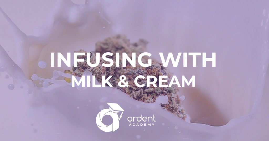 Infusing Cannabis With Milk and Cream