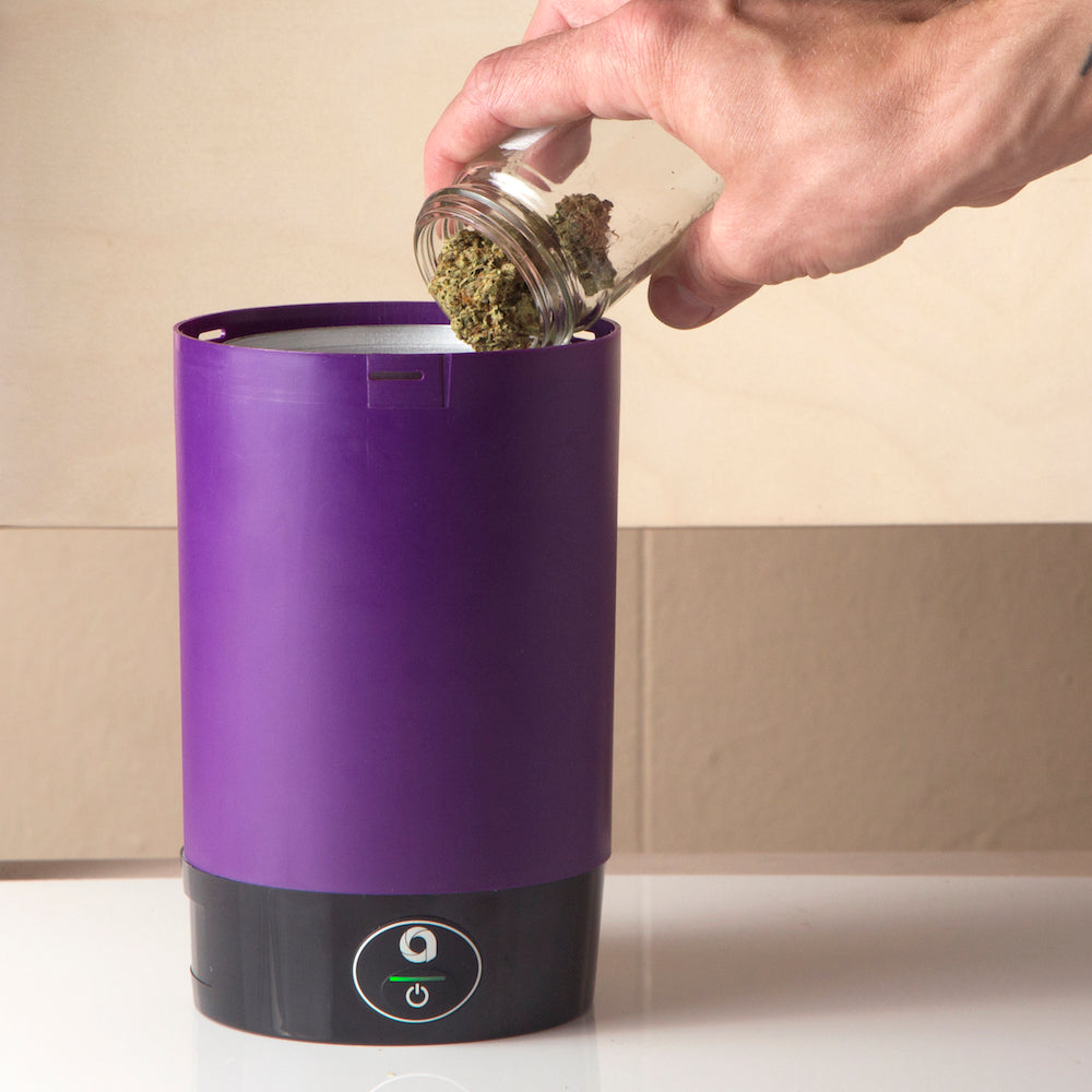 pour cannabis into nova decarboxylator