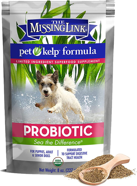 Zesty Paws Probiotics for Dogs - Digestive Enzymes for Gut Flora, Digestive  Health, Diarrhea & Bowel Support - Clinically Studied DE111 - Dog