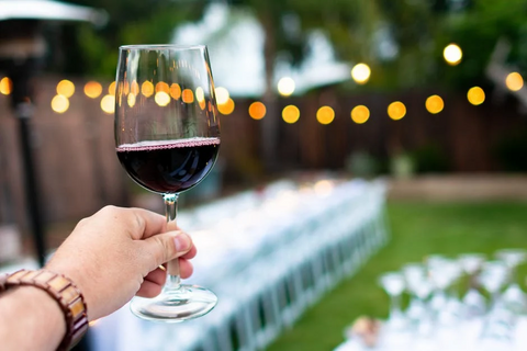 Someone holding up a partially full glass of red wine.