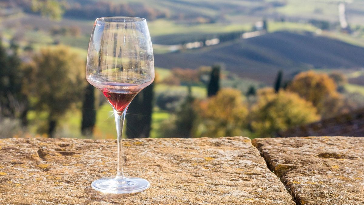 A glass of wine on a wall overlooking a Vinyard.