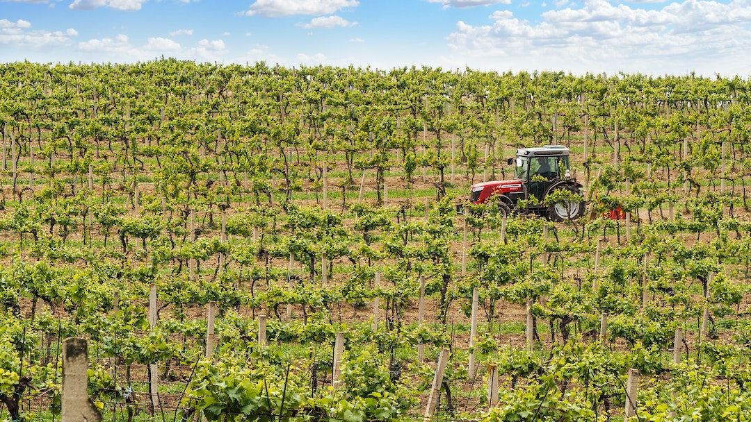 a tractor in a Napa Valley vineyard