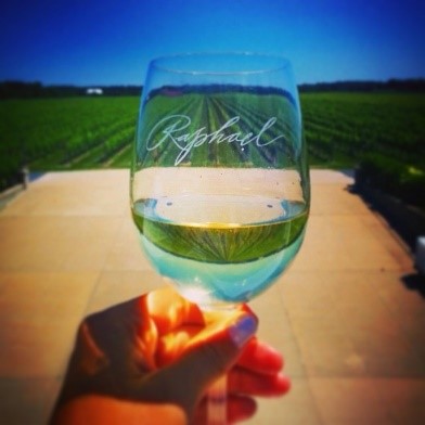 A glass of wine engraved with the Raphael Winery logo against the background of a lush 