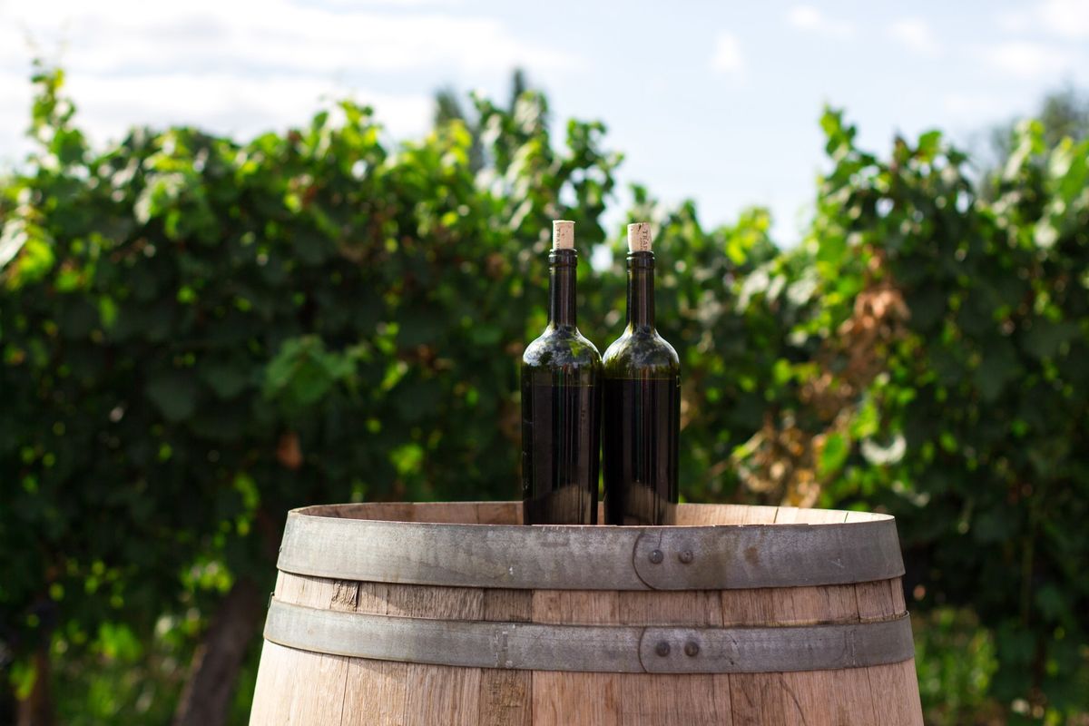 Two wine bottles sitting on a barrel in a vineyard