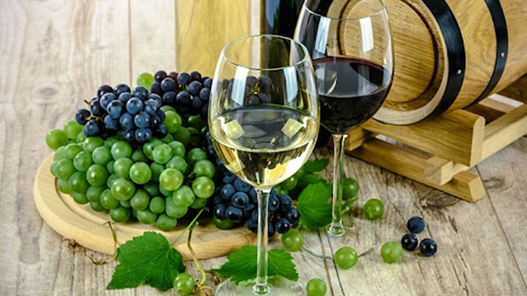 A glass of white wine and dark red wine next to green and purple grapes.