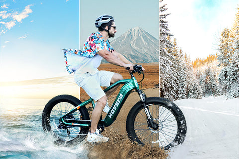 HovAlpha fat tire ebike is suitable for all terrains, including sand, grass and snow
