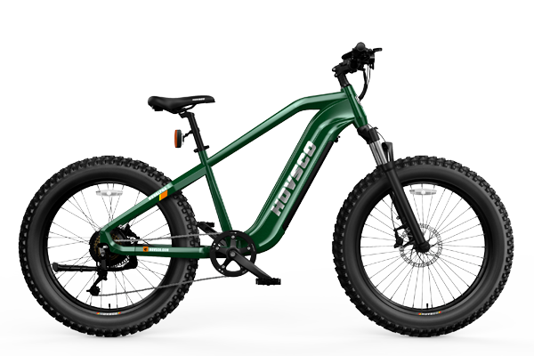 Green Hovsco HovAlpha Electric Fat Tire bIke