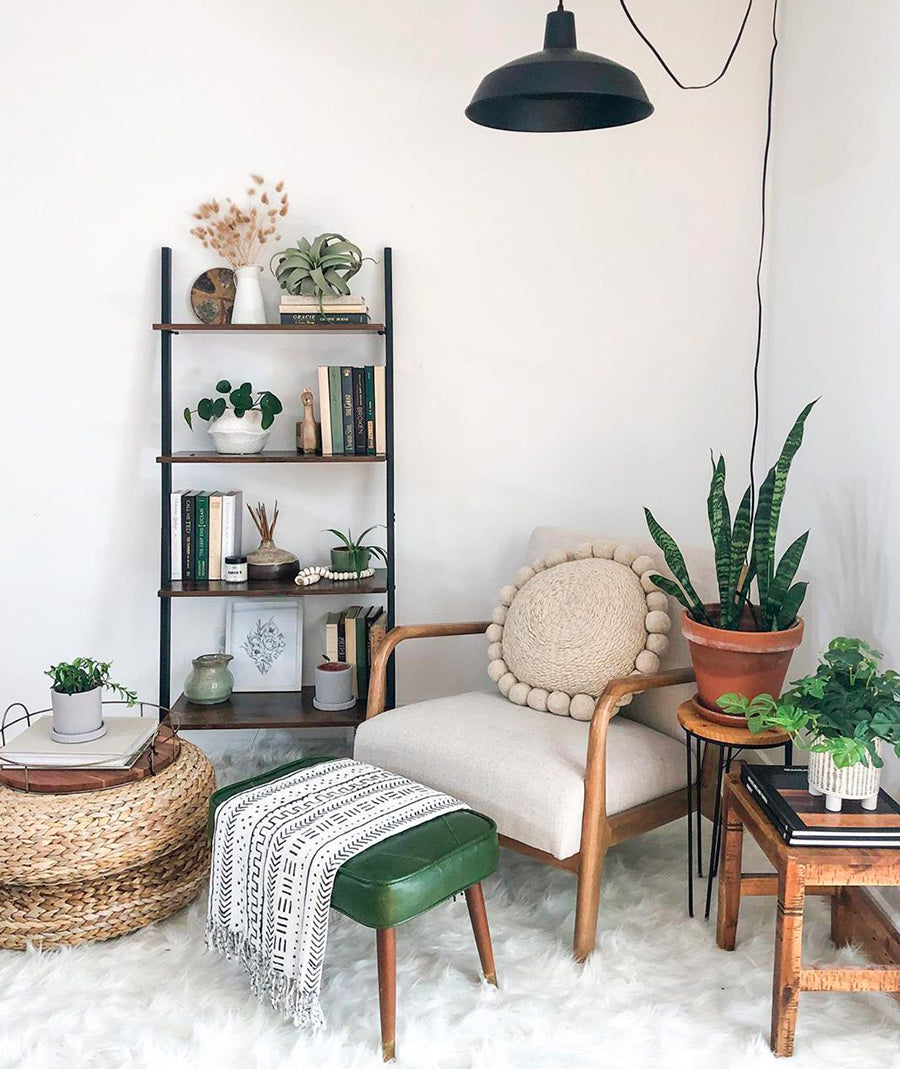 fauteuil moelleux et plantes vertes