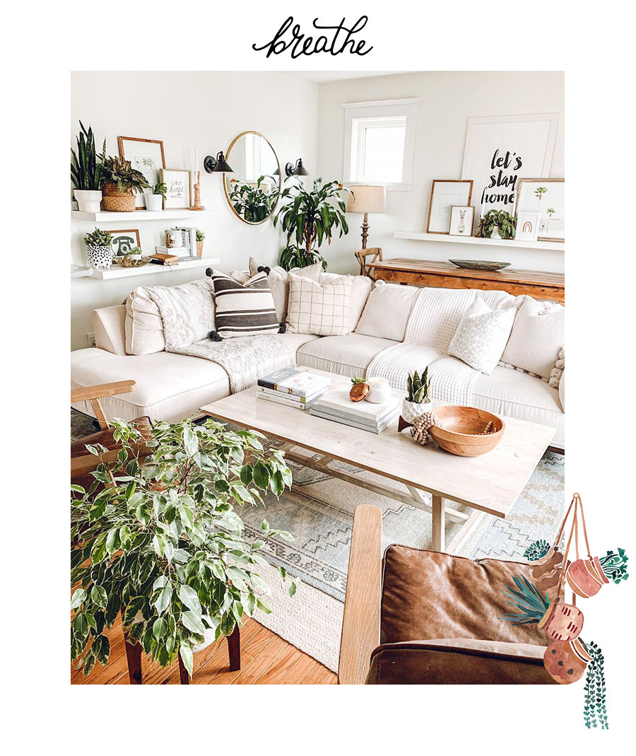 plantes en pot dans un salon au style boho