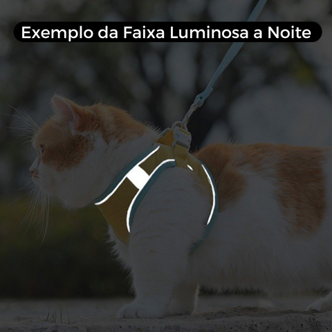 Touca para Gato com Orelha de Coelho Gatoelhinho™ - Amo Pet Oficial
