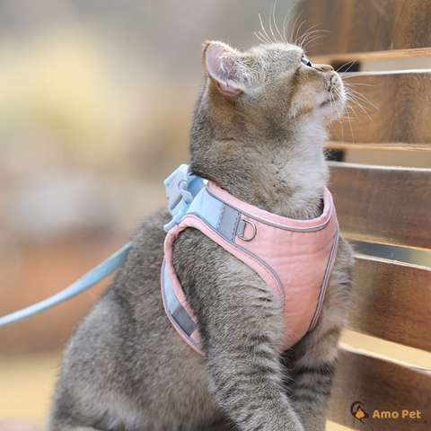 Coleira Peitoral Para Gatos Passeio Com Guia Luxo Conforto