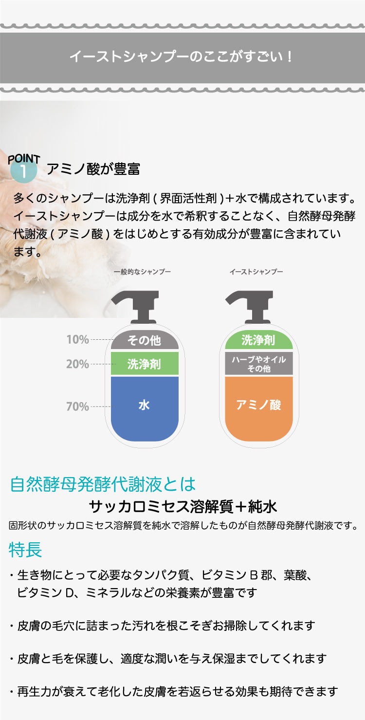 アミノ酸が豊富