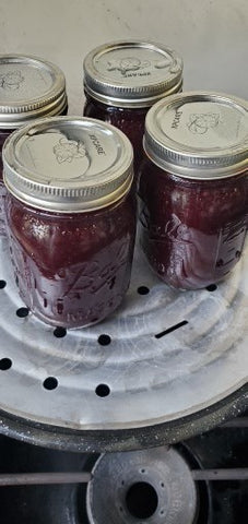 canning jam recipe