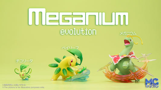 PREORDER] 1/20 Resin Figure [MY] - Hitmonlee & Hitmonchan & Tyrogue