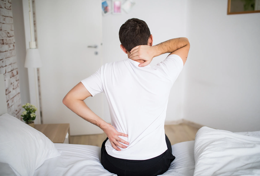 https://cdn.shopify.com/s/files/1/0555/2678/5204/files/Alleviating-Lower-Back-Pain_1024x1024.png?v=1691148294