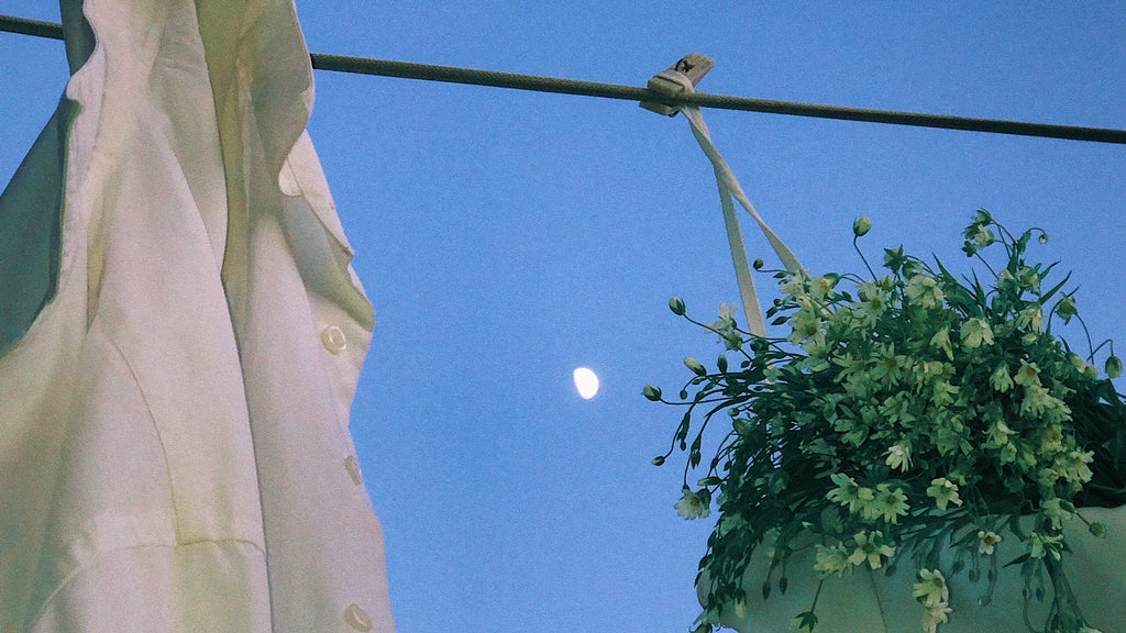 An image of clothes on a clothesline and a bag filled with fresh greens overlooking the Moon thats rising high in the sky