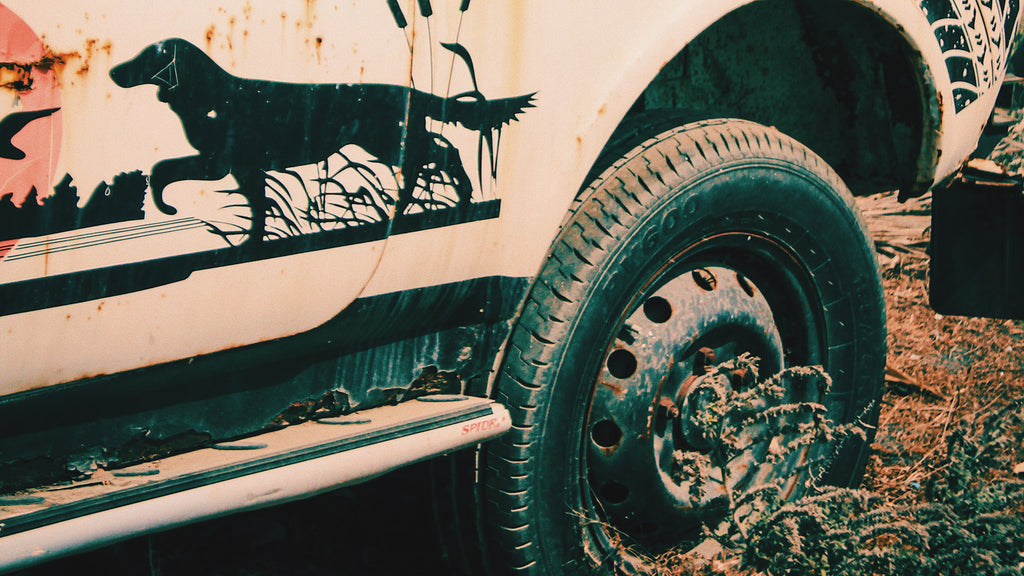 A truck off-roading in the forest with a dog sticker on the side of it.