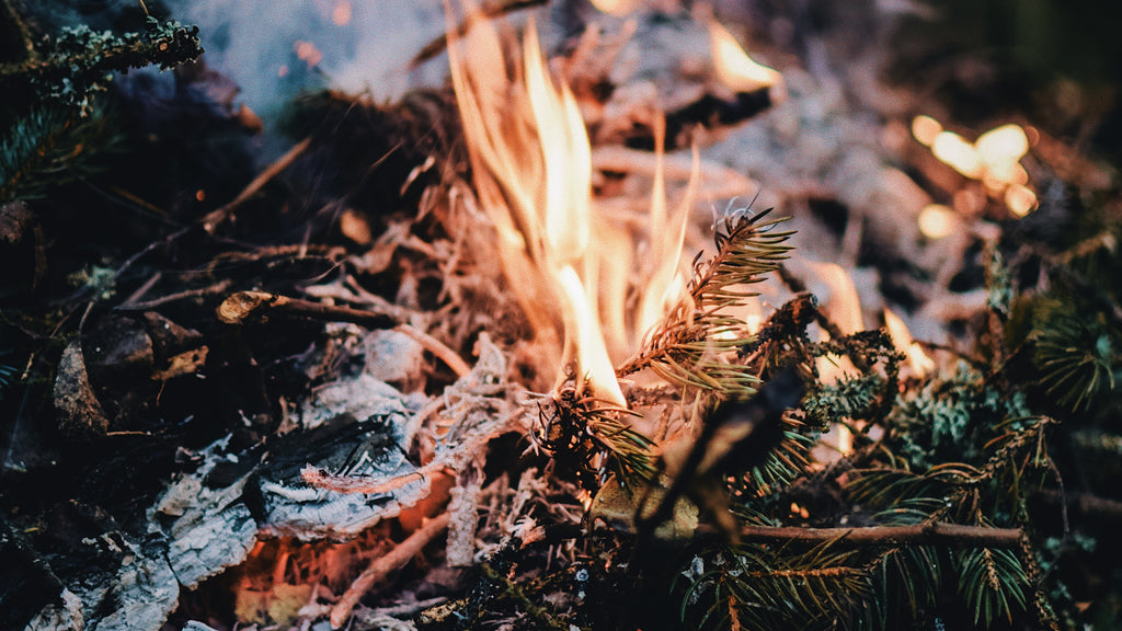 A fire burns brightly near pine needles and leaves on a cold dark night.,