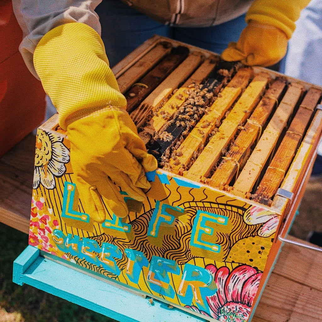 A beekeeper, wearing protective gear, gently lifts a frame filled with busy honeybees from a visually striking Langstroth hive. The hive is adorned with vivid colors and the empowering words 'Life is Sweeter.' This captivating scene represents the harmonious collaboration between beekeeping, green witchcraft, and spirituality, emphasizing the profound connection between humans, bees, and the sweetness of life's bountiful gifts.