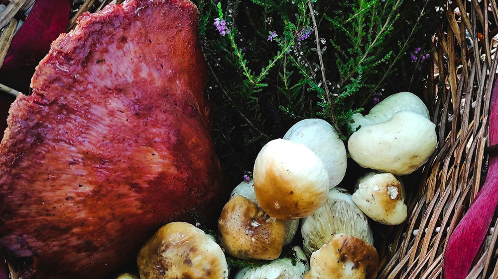 A wicker basket filled with mushrooms and greens, accompanied by a large piece of fungi, reminiscent of a forest bounty.