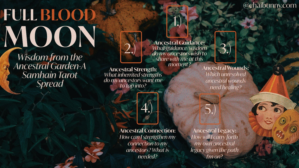 Image depicts a mystical and vibrant tarot spread layout themed around the Full Blood Moon in Taurus. Set against a lush backdrop of deep green foliage, hints of flowers, and a pumpkin, the words 'FULL BLOOD MOON' stand prominently at the top. Below, a crescent moon with a face looks out, and the title 'Wisdom from the Ancestral Garden-A Samhain Tarot Spread' is displayed. Five numbered, rectangular outlines suggest where cards should be placed. Each rectangle contains a specific ancestral-themed question:      Ancestral Guidance: What guidance/wisdom do my ancestors wish to share with me at this moment?     Ancestral Strength: What inherited strengths do my ancestors want me to tap into?     Ancestral Wounds: Which unresolved ancestral wounds need healing?     Ancestral Connection: How can I strengthen my connection to my ancestors? What is needed?     Ancestral Legacy: How will I carry forth my own ancestral legacy given the path I'm on?  To the right, there's a playful vintage illustration of a woman wearing a pointed hat, with a surprised-looking, carved pumpkin beside her. The watermark '@chaibunny.com' is subtly placed at the top right corner, indicating the creator of this evocative spread layout.