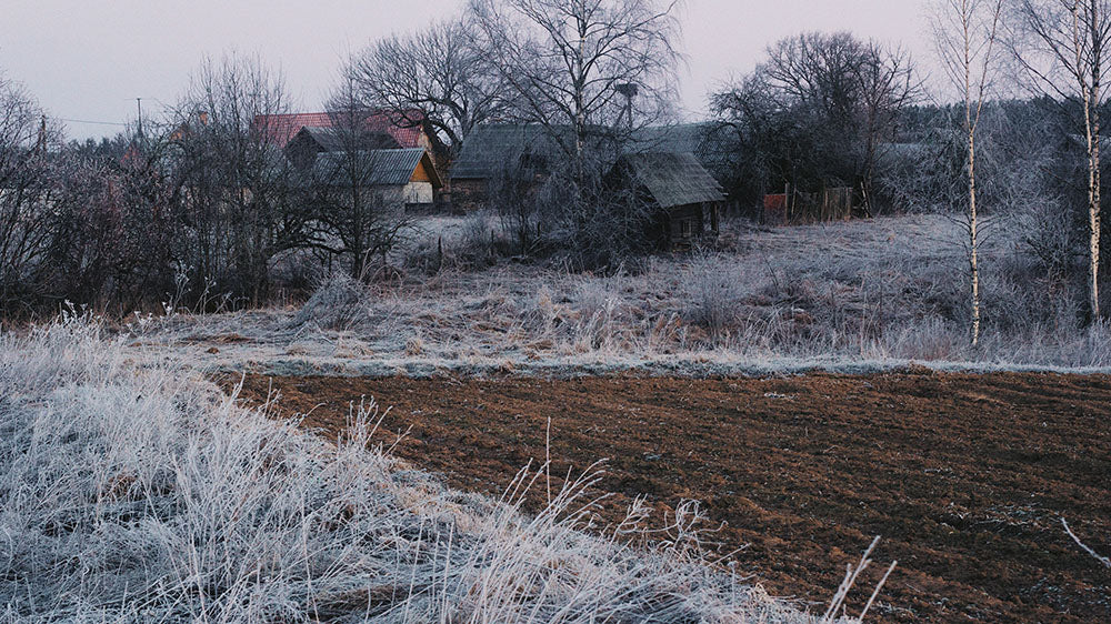 As the Mourning Moon's cycle peaks, the frost-kissed landscape captures the essence of November's introspective spirit. This image, with its rural homes nestled behind a veil of icy branches and grasses, tells of the natural world's quiet slumber. The contrast of the warm brown earth against the frost suggests the merging of autumn's end with winter's onset, reflecting the Mourning Moon's theme of transition and the deep stillness that invites us to reflect and prepare for the colder days ahead.