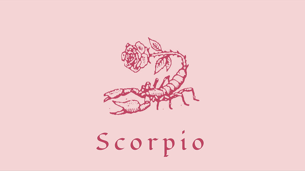 A simple line drawing of a scorpion in a shade of pink, with the word 'Scorpio' beneath it, representing the astrological sign known for its intensity and depth.