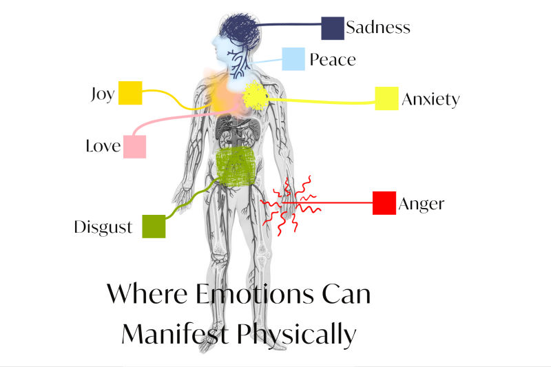 Infographic illustrating the various locations in the body where emotions such as joy, love, anger, anxiety, and sadness can manifest, visually supporting 'The Art of Body Reading: A Step-by-Step Guide' 