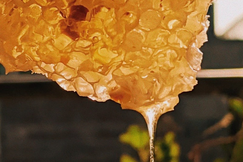 Image of honeycomb dripping ambrosial honey and sparkling in the sun