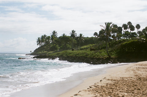 Rugged coastline in Cabarete, Dominican Republic