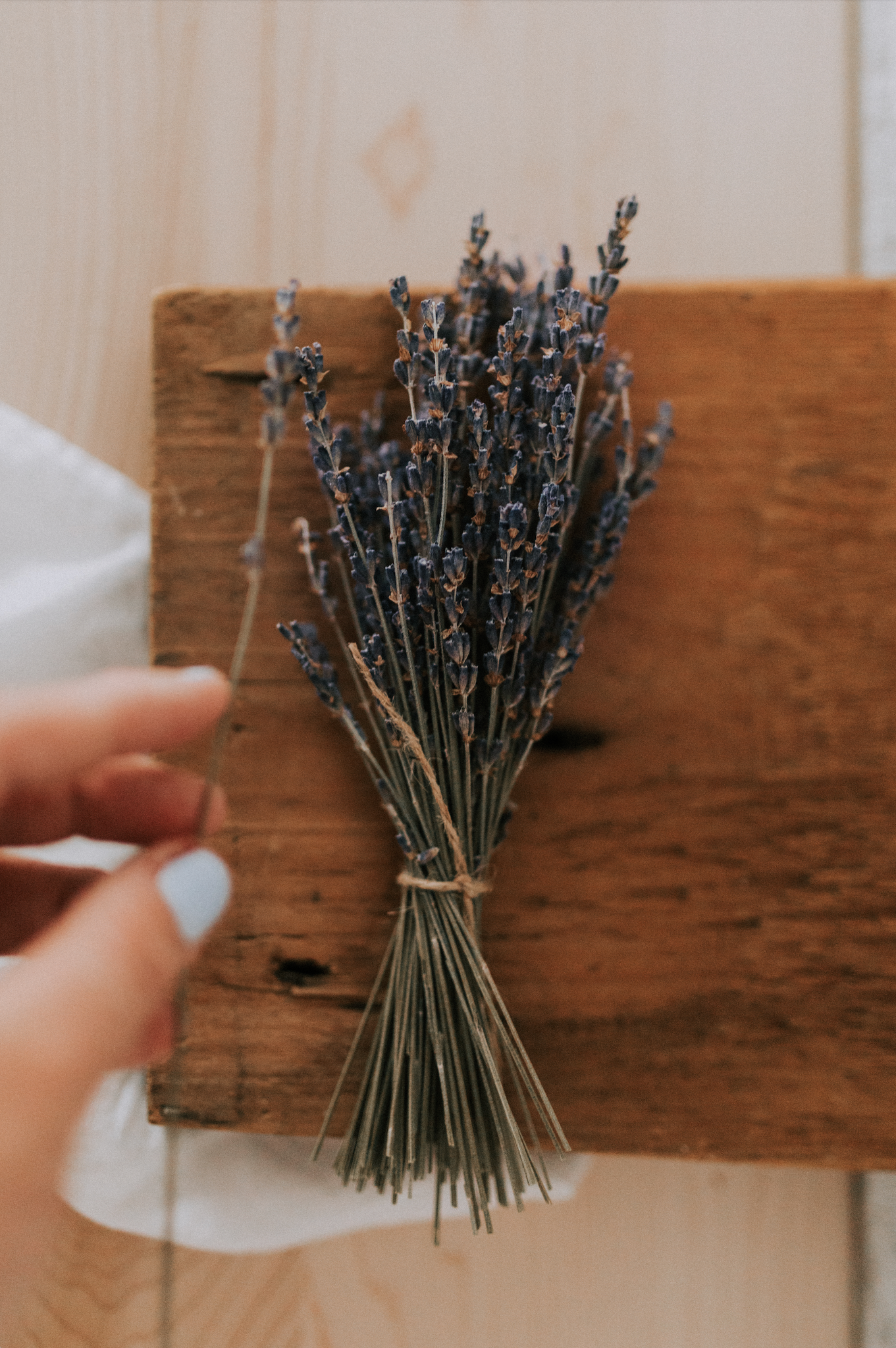 Bouquet de lavande séchée – Maison Lavande