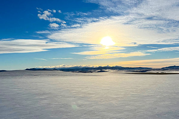 Living Sky Grains field covered with blanket of snow