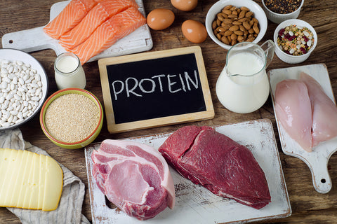 Protein Diet for Bedridden Patients