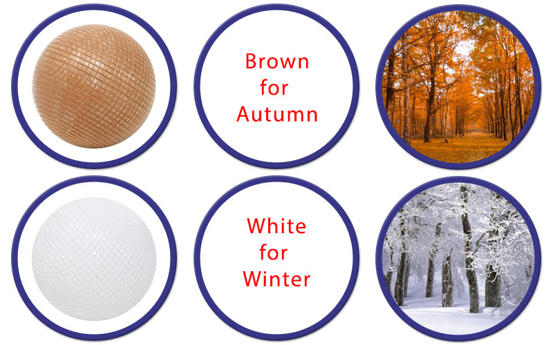 Diagram to show the brown and white balls as seasons