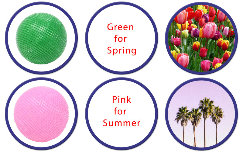 Diagram to show the green and pink balls as seasons