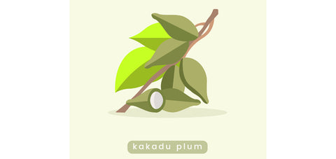 Kakadu Plum skincare