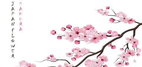Cherry Blossom benefits
