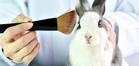 cruelty free products