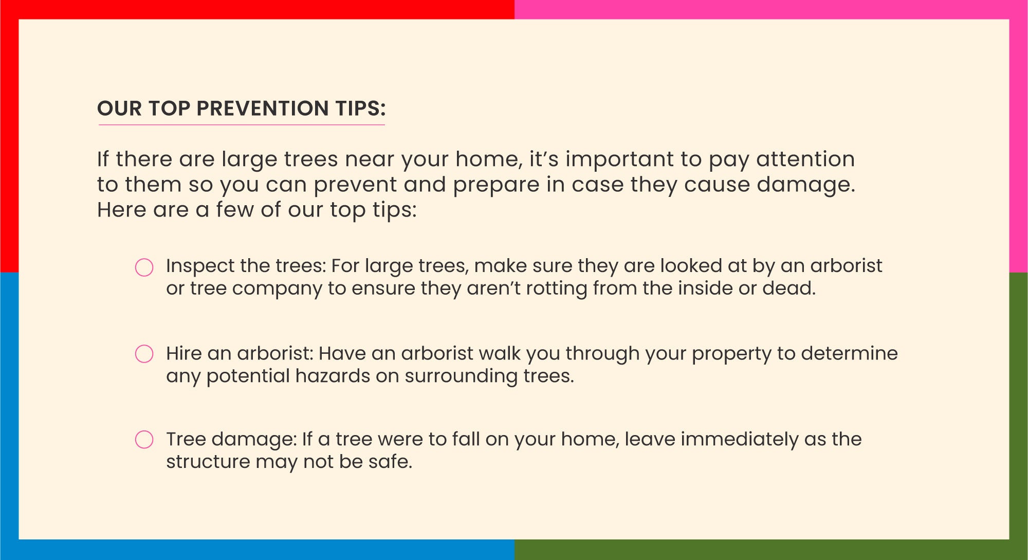 Falling Tree Prevention Tips