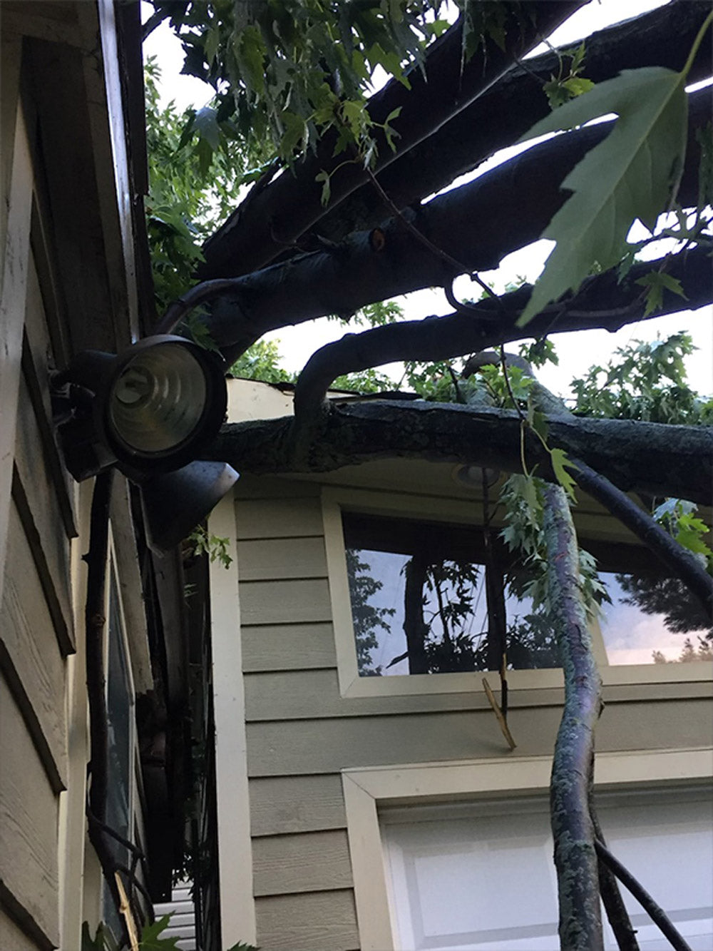 Tree Fall on House