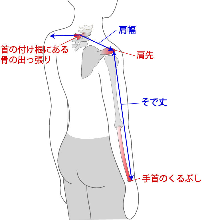 肩周りの測る方法